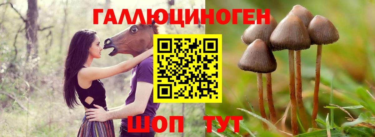 Минусинск  Псилоцибиновые грибы ЛСД  Вход с VPN 